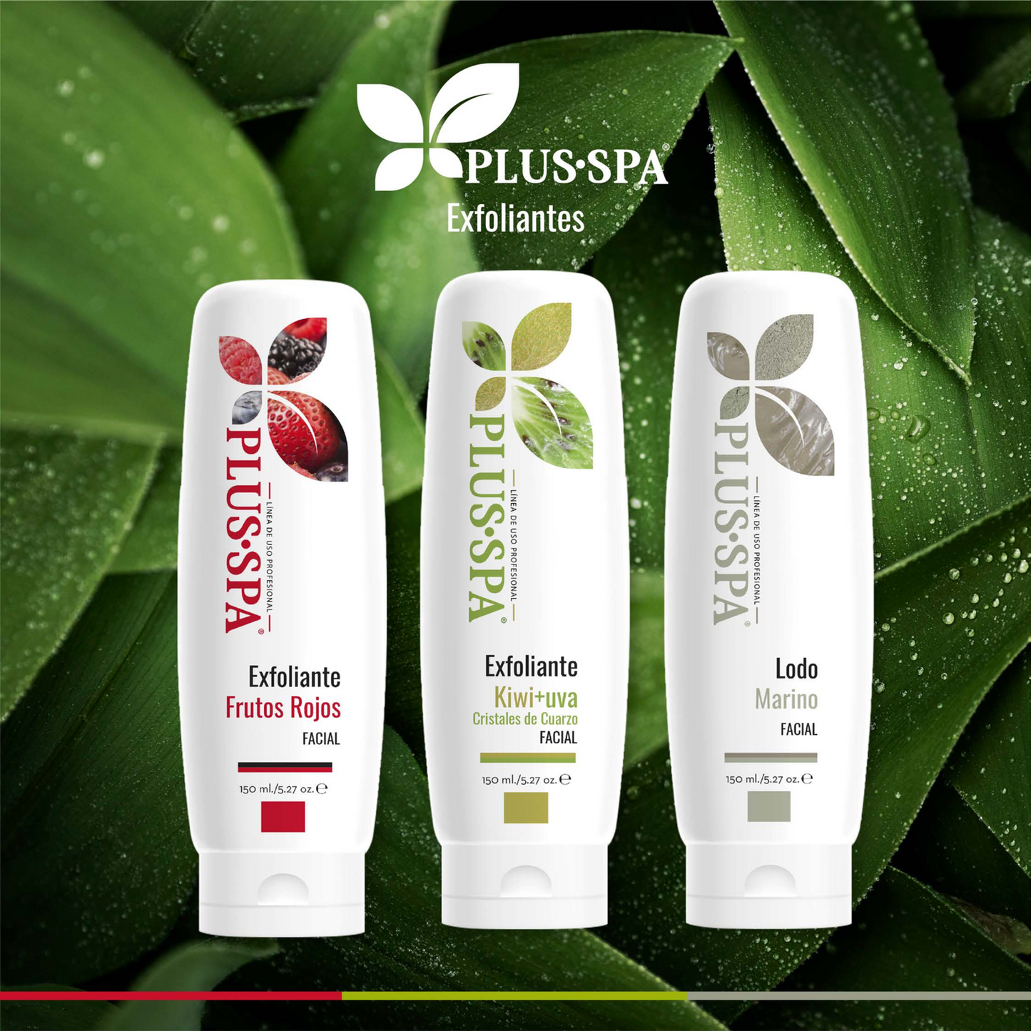 PLUS•SPA | Lodo Marino Facial - 150ml