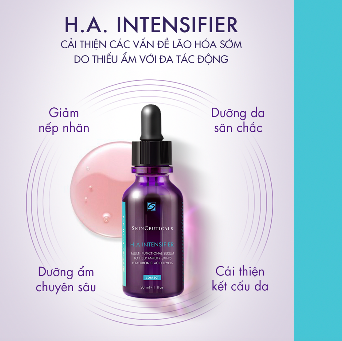 H.A. INTENSIFIER